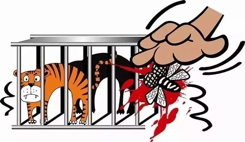 w66����(�й��ٷ���վ)