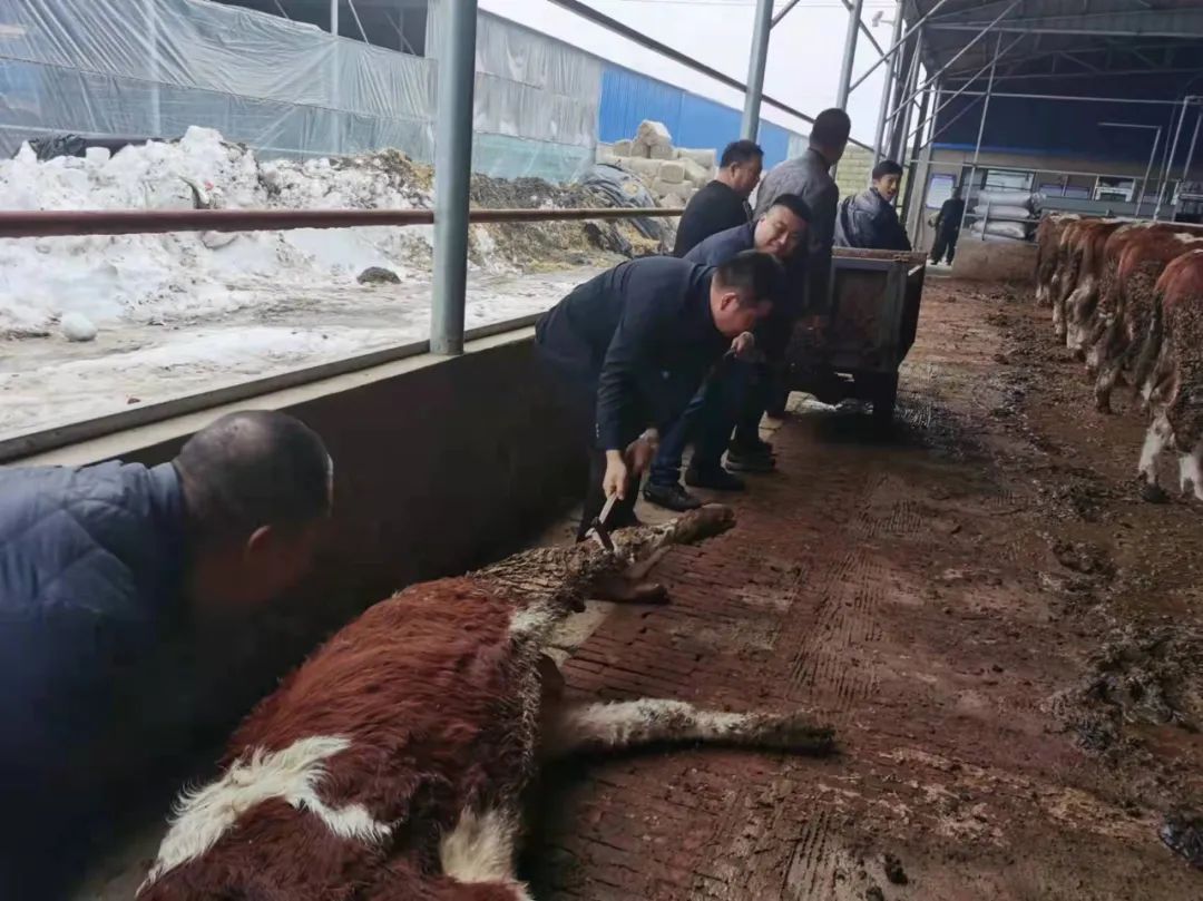 w66����(�й��ٷ���վ)