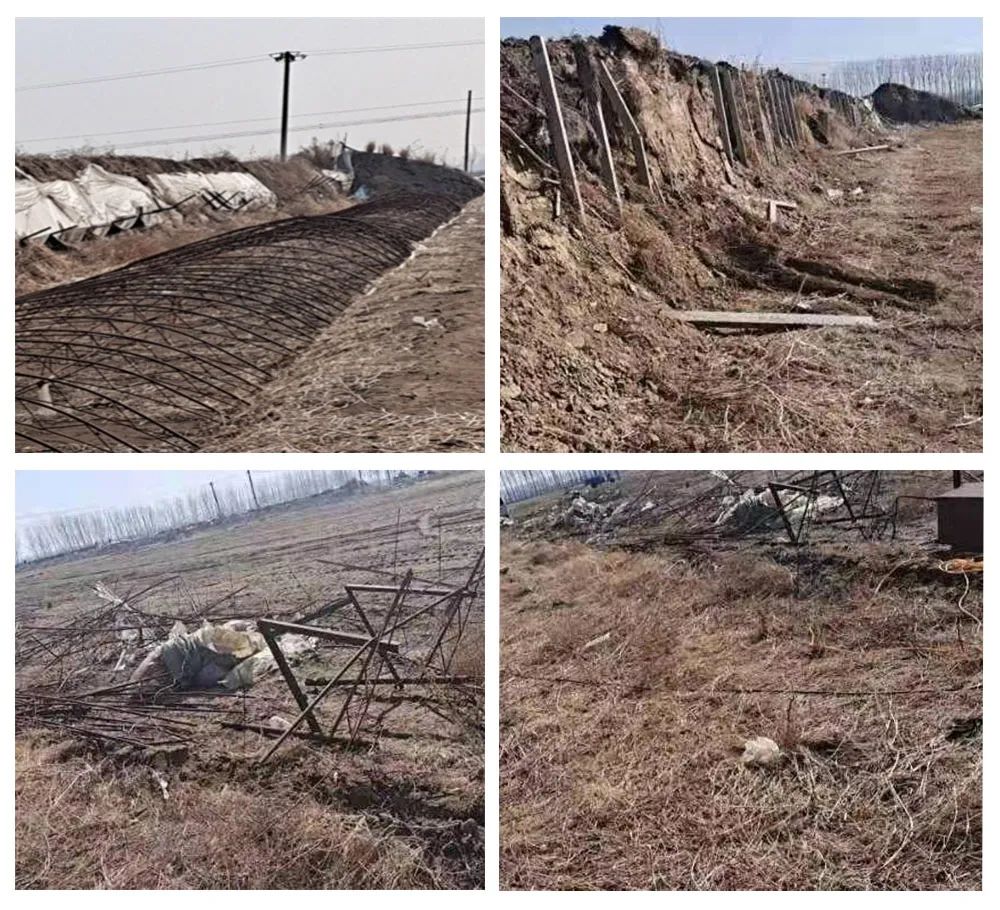 w66����(�й��ٷ���վ)