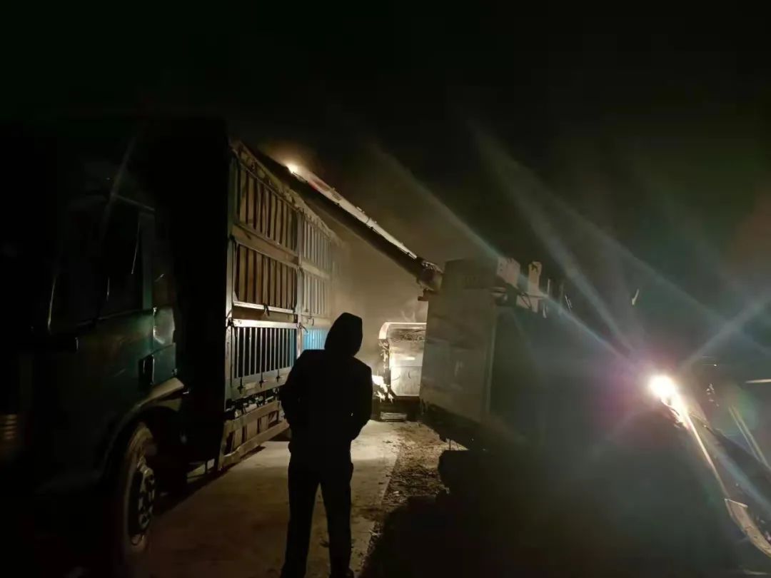 w66����(�й��ٷ���վ)