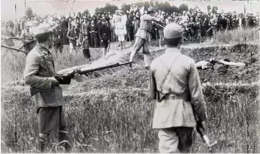 w66����(�й��ٷ���վ)