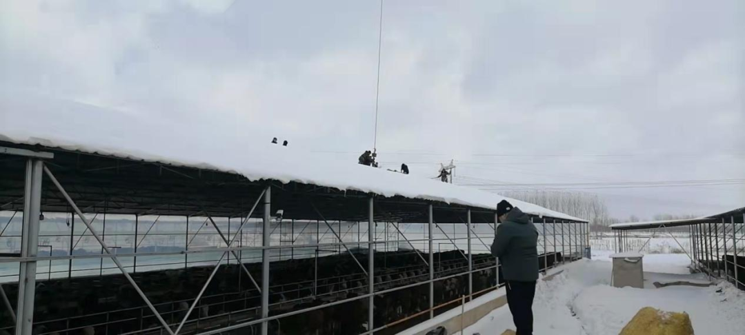 w66ÀûÀ´(Öйú¹Ù·½ÍøÕ¾)