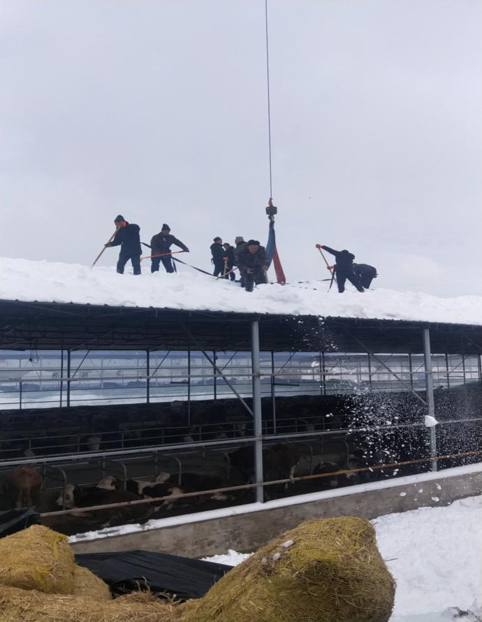 w66ÀûÀ´(Öйú¹Ù·½ÍøÕ¾)