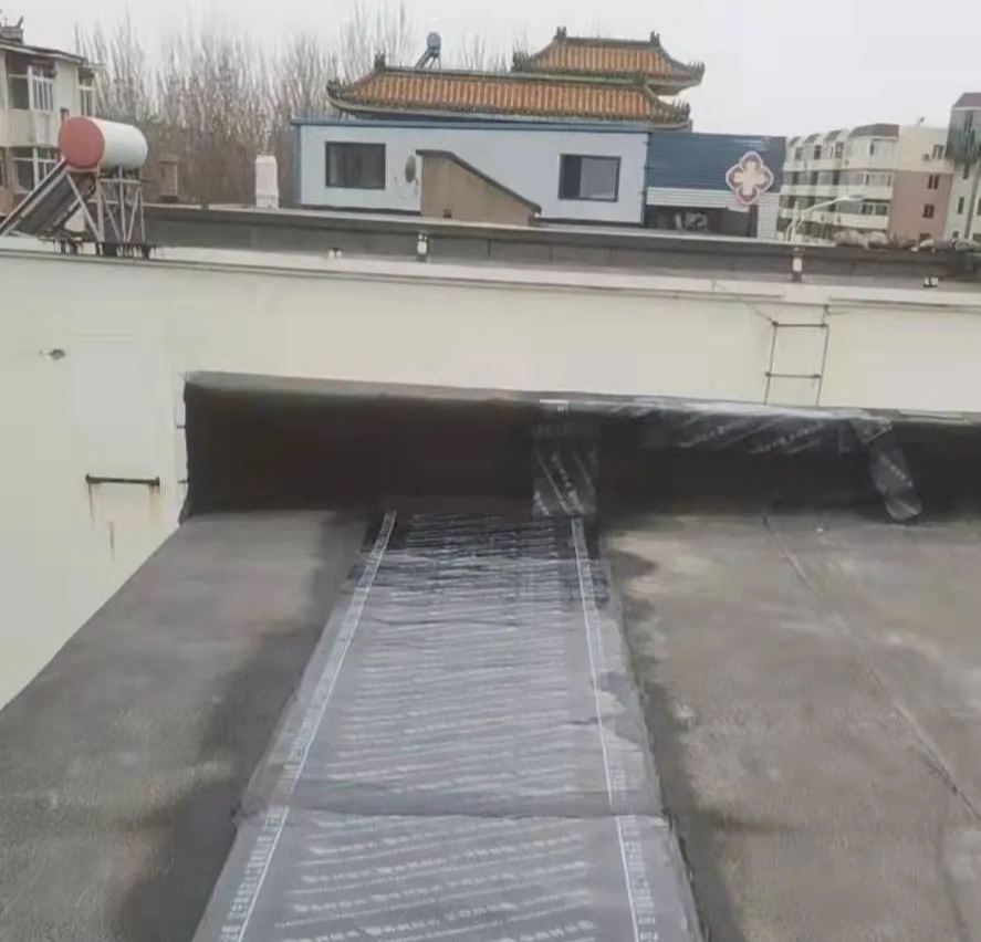 w66����(�й��ٷ���վ)