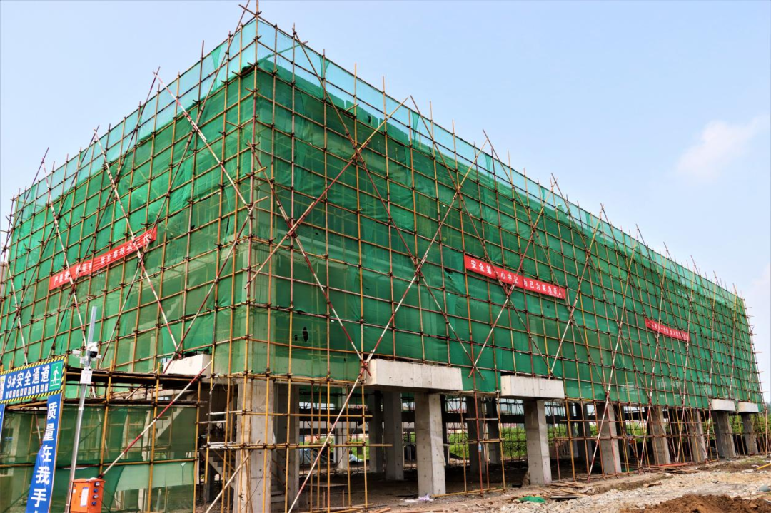 w66����(�й��ٷ���վ)