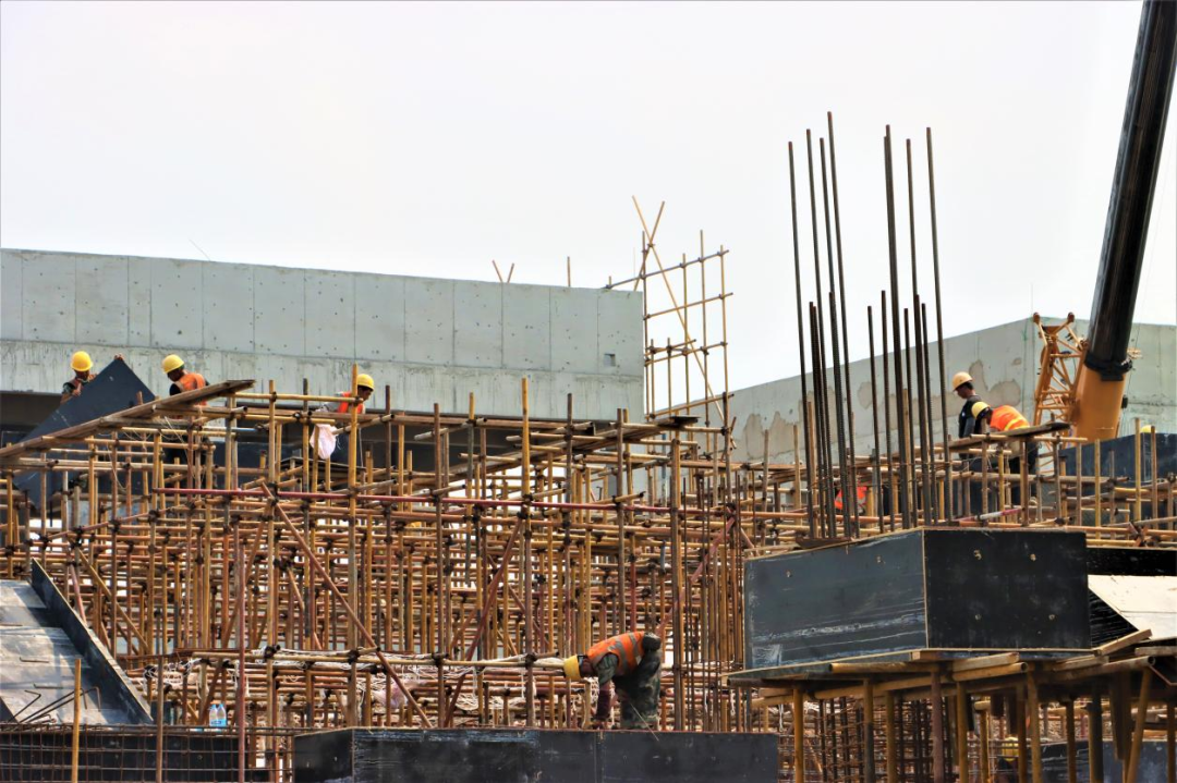 w66����(�й��ٷ���վ)