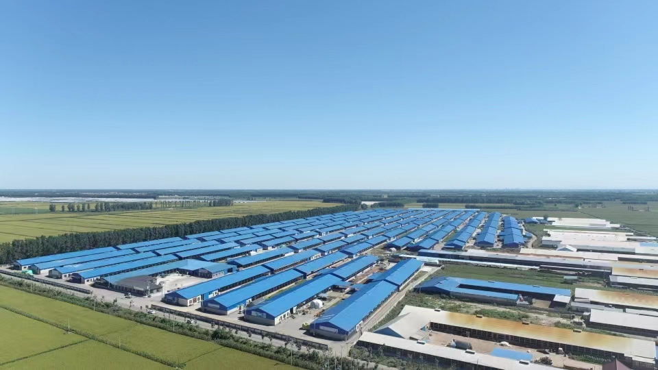 w66����(�й��ٷ���վ)