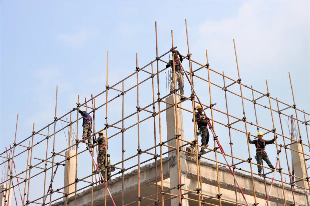 w66����(�й��ٷ���վ)