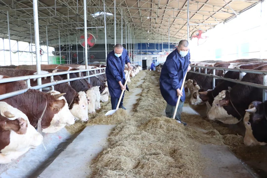 w66����(�й��ٷ���վ)