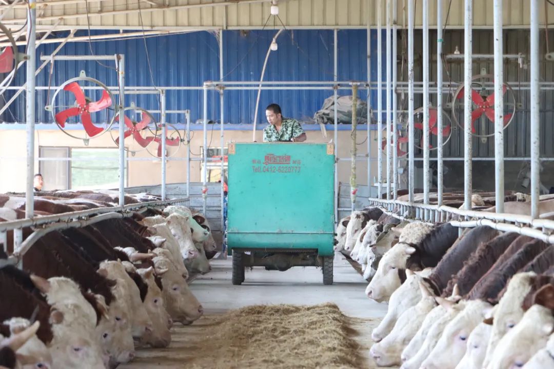 w66����(�й��ٷ���վ)