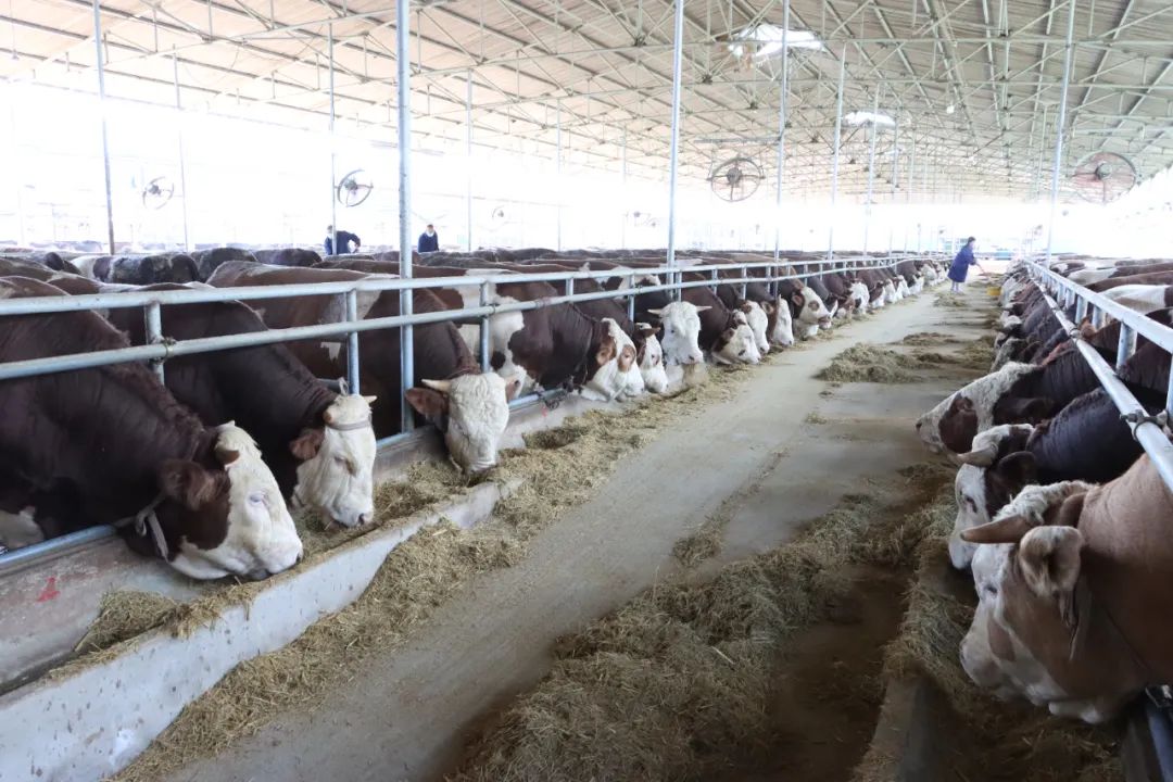 w66����(�й��ٷ���վ)