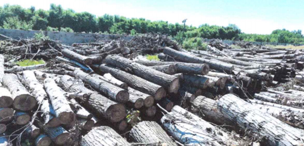 w66����(�й��ٷ���վ)