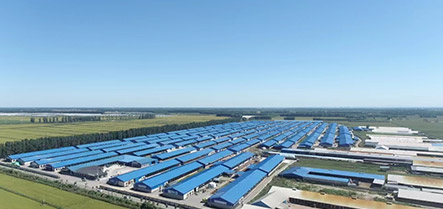 w66����(�й��ٷ���վ)