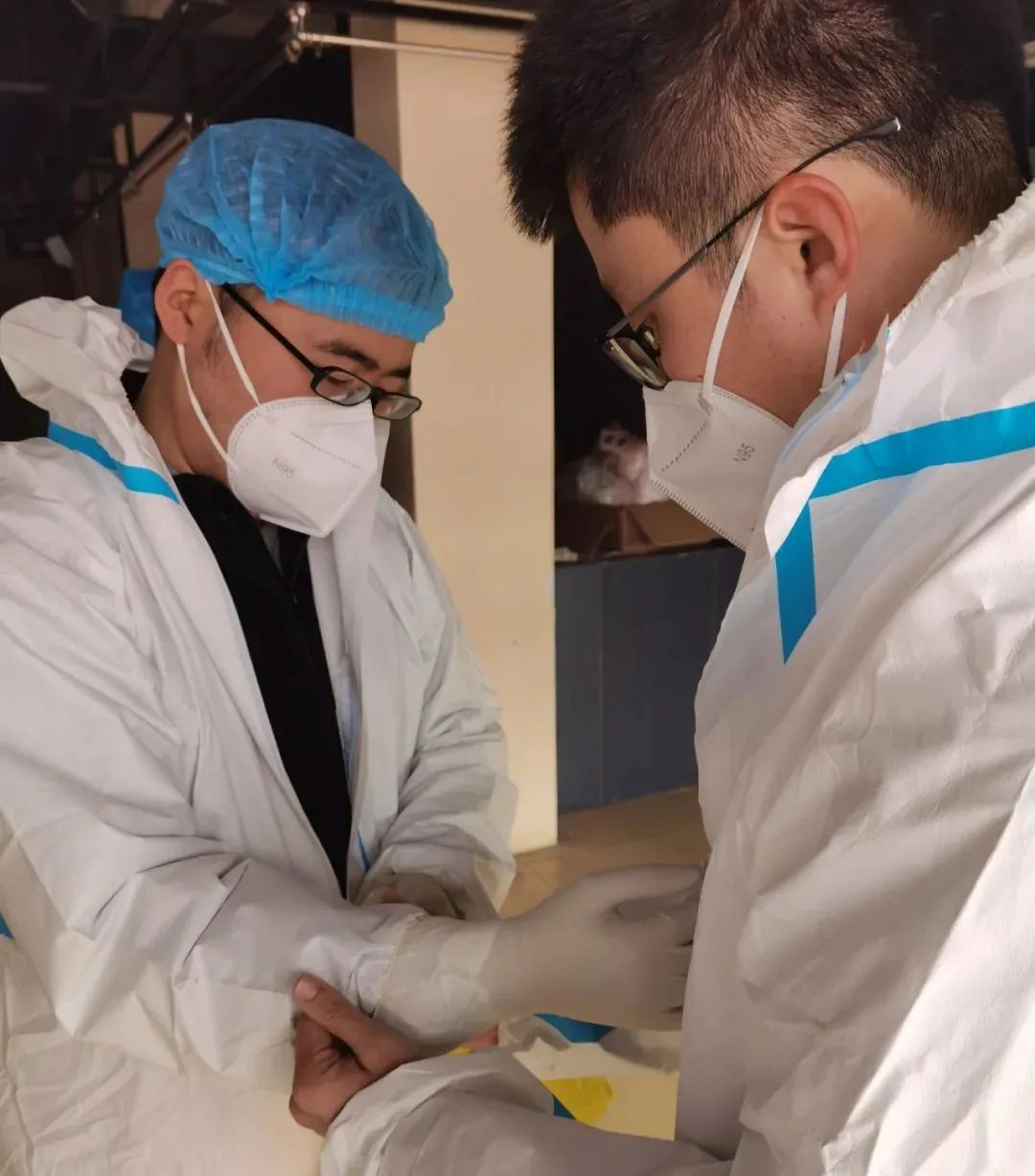 w66����(�й��ٷ���վ)