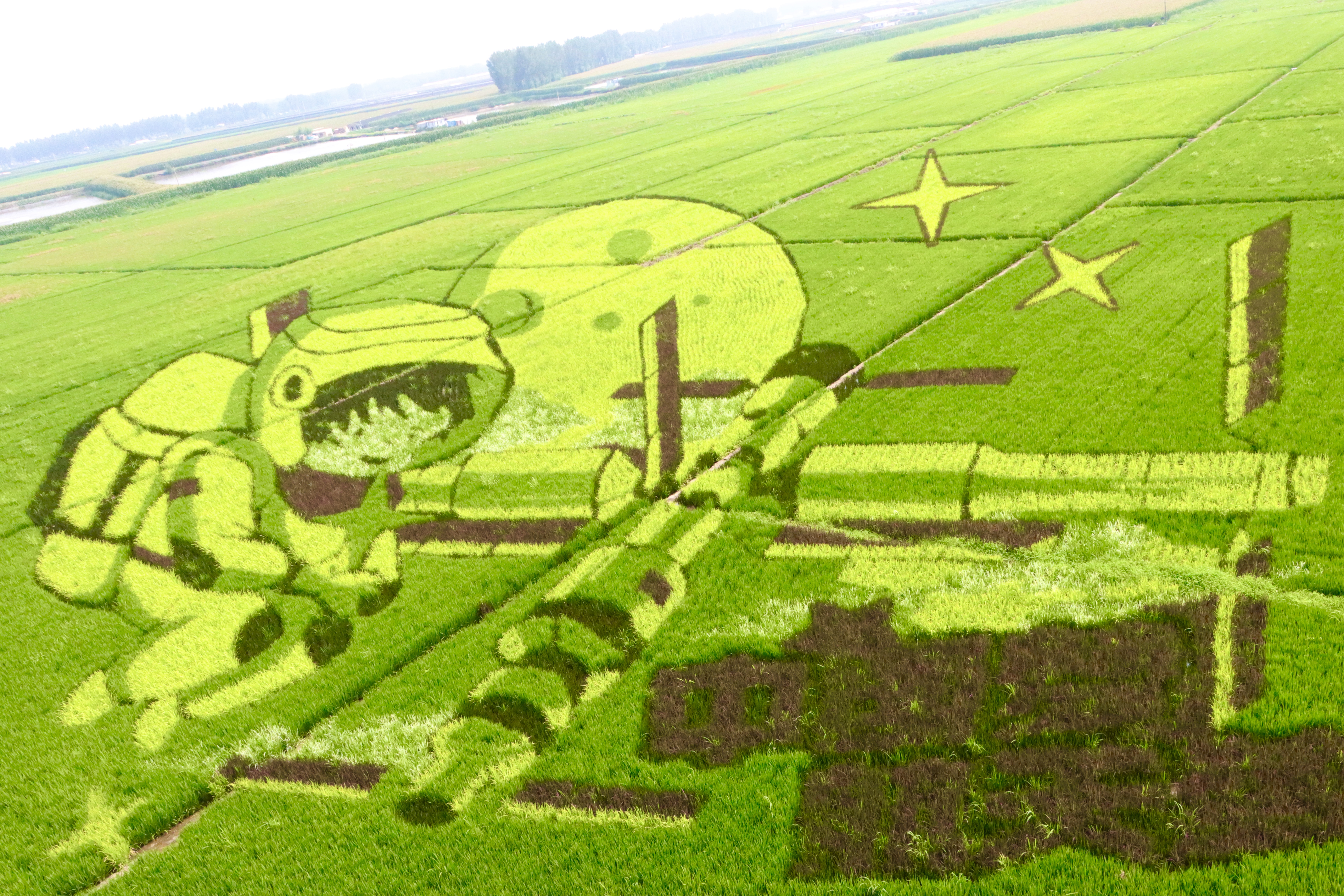 w66ÀûÀ´(Öйú¹Ù·½ÍøÕ¾)