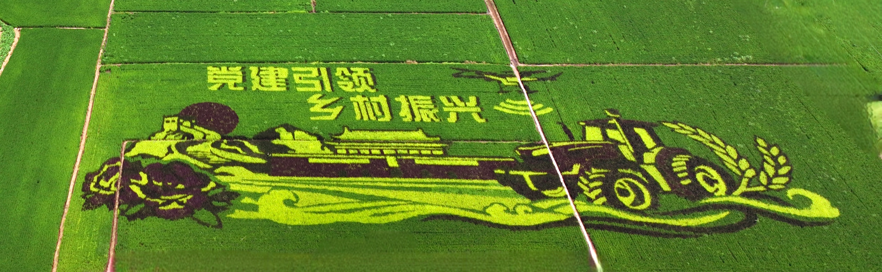 w66ÀûÀ´(Öйú¹Ù·½ÍøÕ¾)