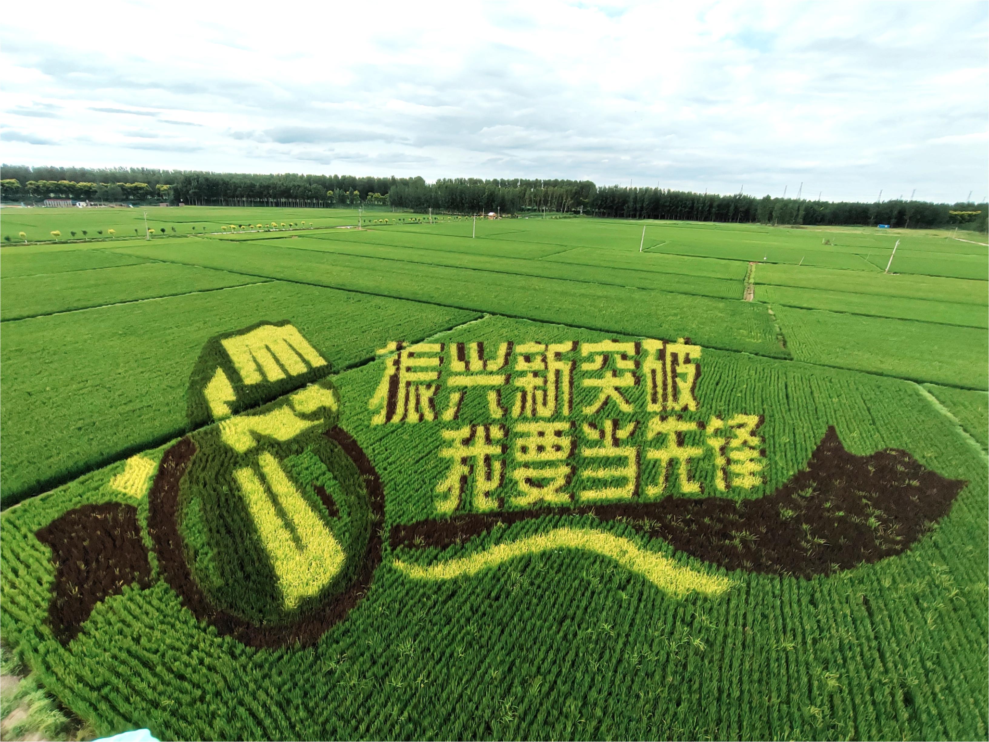 w66ÀûÀ´(Öйú¹Ù·½ÍøÕ¾)