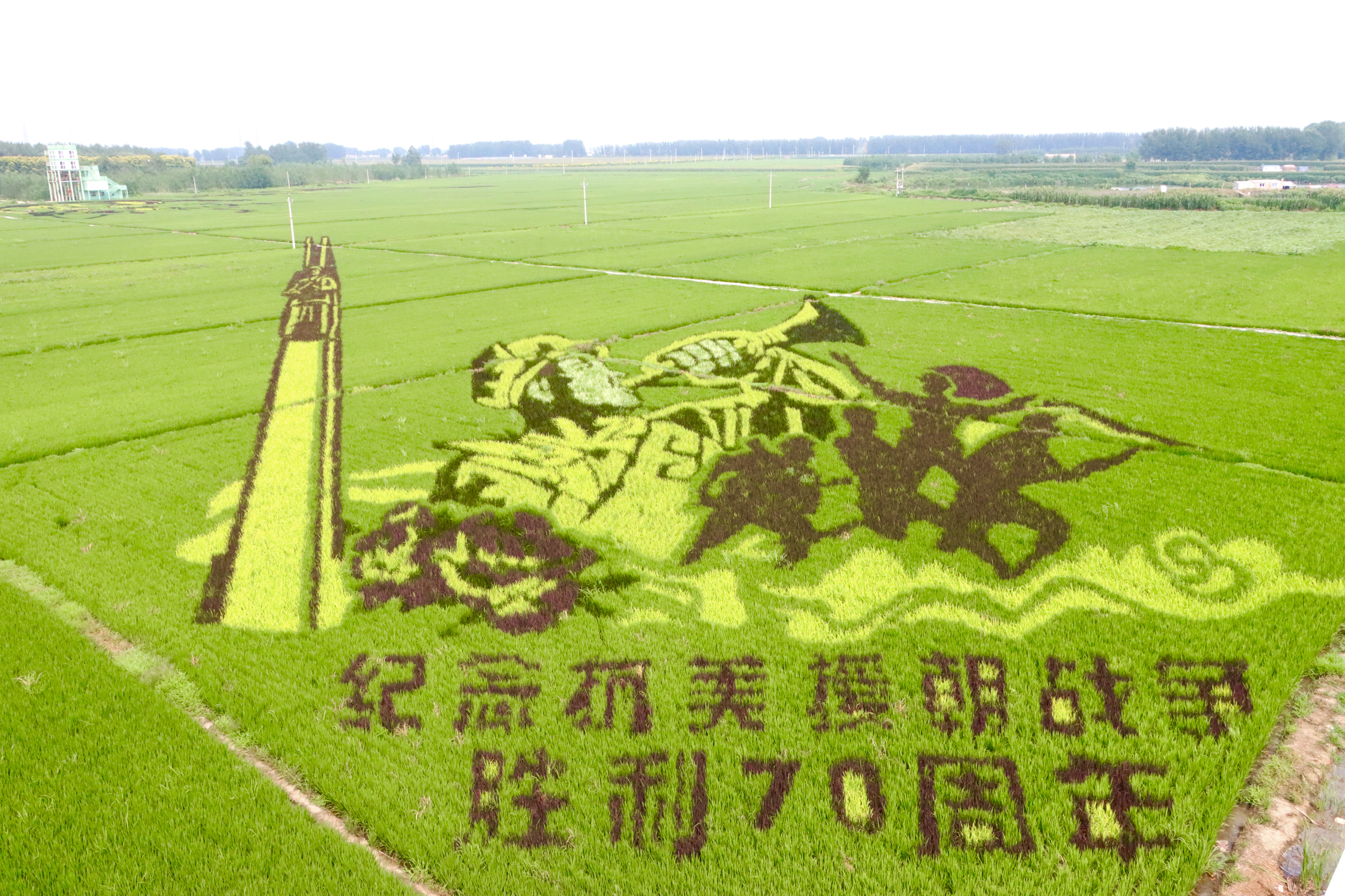 w66ÀûÀ´(Öйú¹Ù·½ÍøÕ¾)