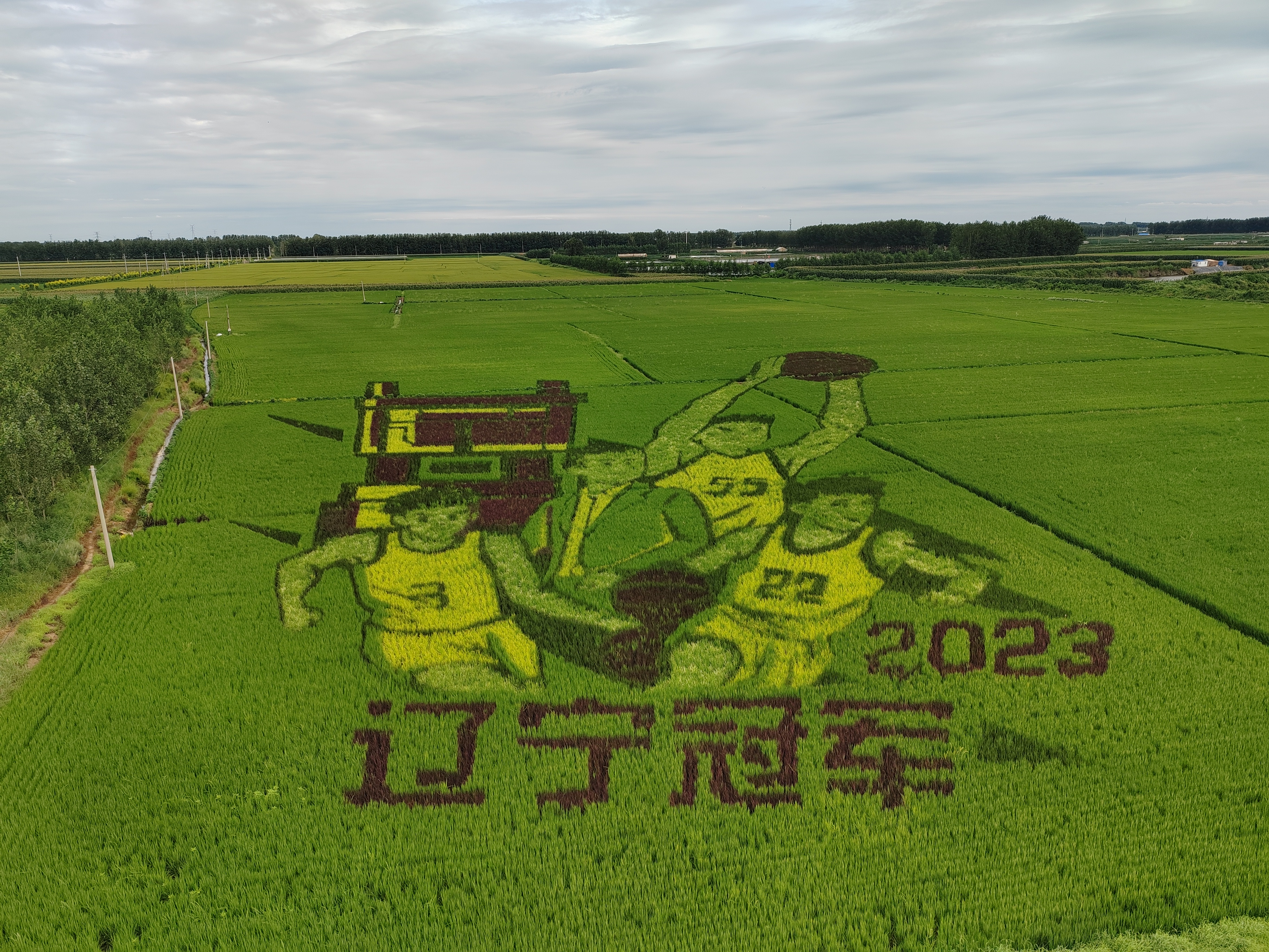 w66ÀûÀ´(Öйú¹Ù·½ÍøÕ¾)