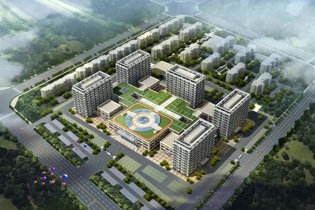 w66����(�й��ٷ���վ)