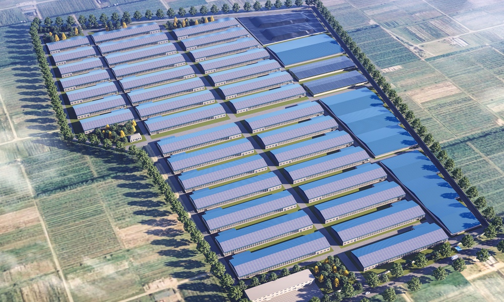 w66����(�й��ٷ���վ)