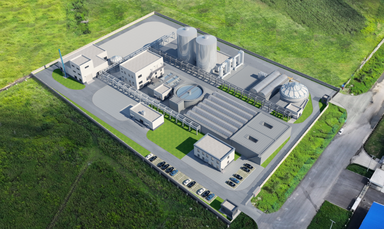 w66����(�й��ٷ���վ)