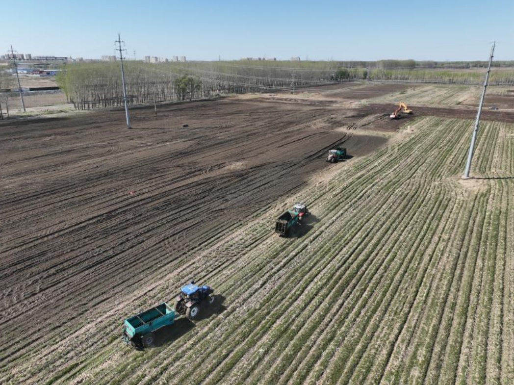 w66����(�й��ٷ���վ)