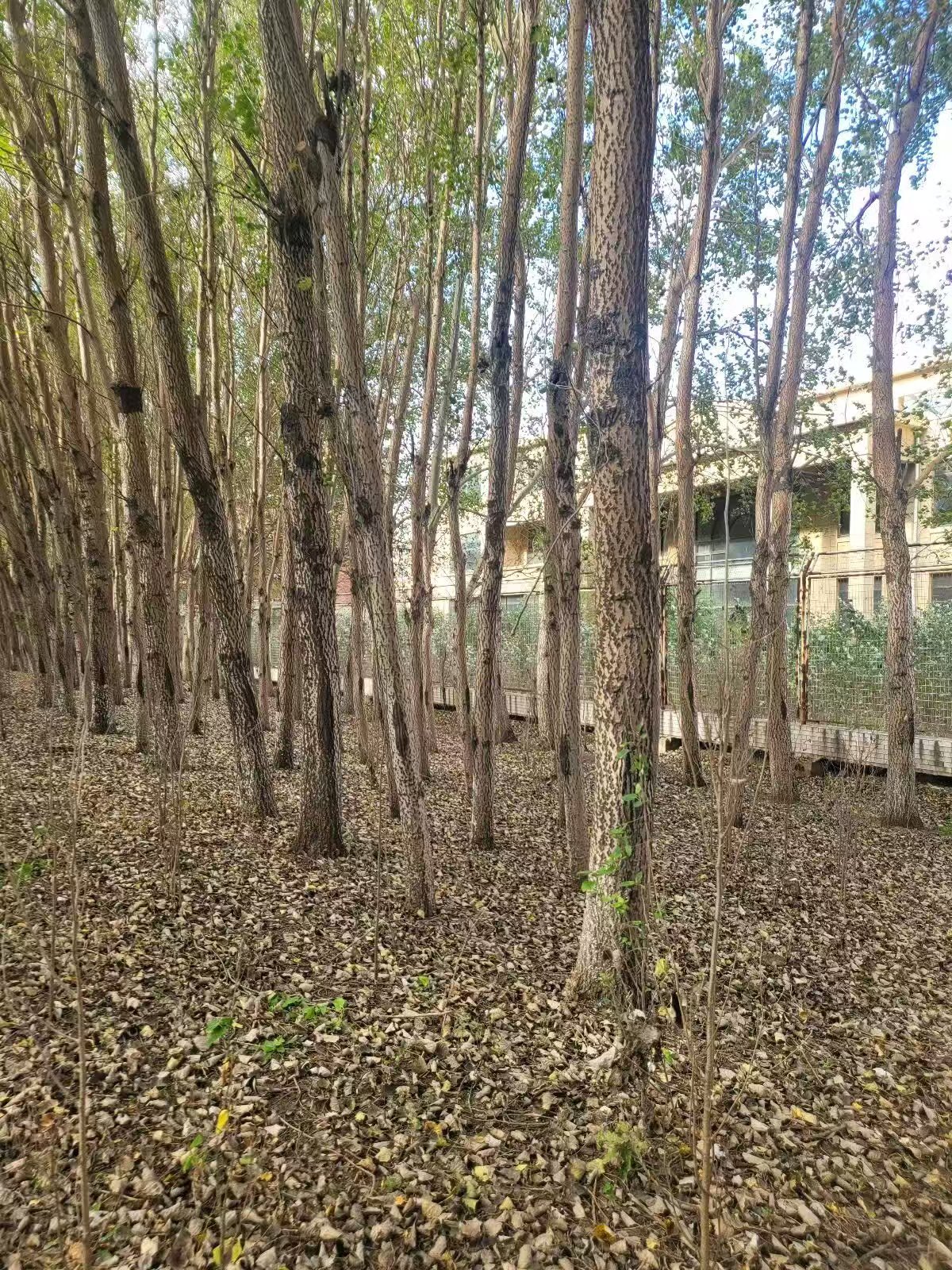 w66ÀûÀ´(Öйú¹Ù·½ÍøÕ¾)