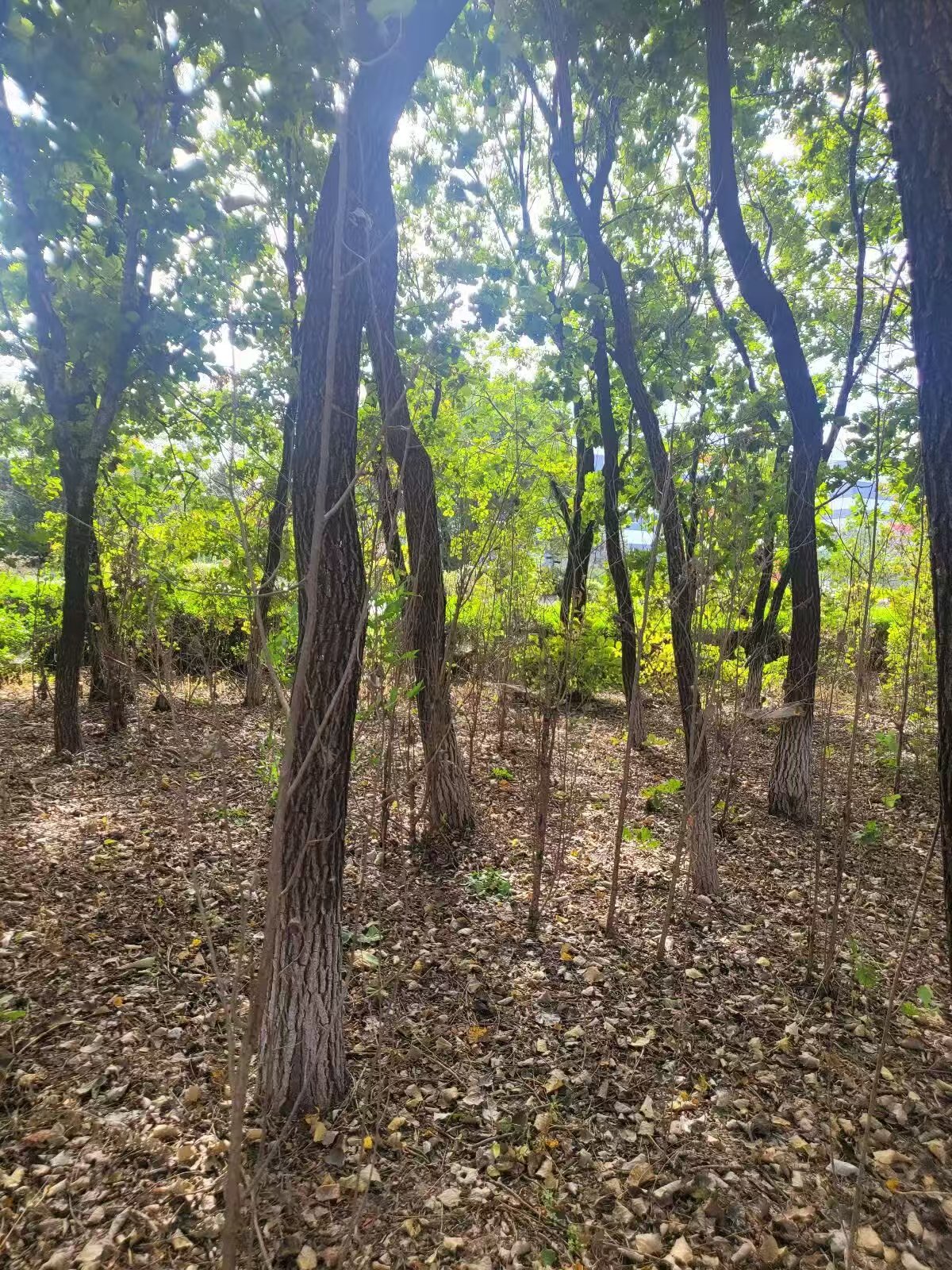 w66ÀûÀ´(Öйú¹Ù·½ÍøÕ¾)